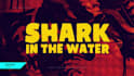 create an awesome animated lyric video