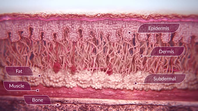 Create 3d medical skincare animation cosmetic products ingredient ...