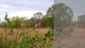do professional video editing, color correction and color grading
