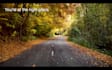 produce ambient, meditative, yoga, sleep music for you