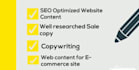 do professional copywriting for your website, ecommerce store