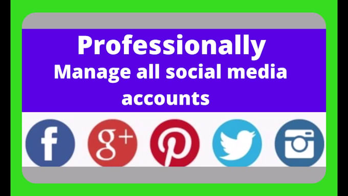 professionally manage all social media accounts