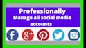 professionally manage all social media accounts