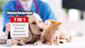 create eye catching promo video for veterinarian