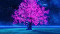 create full HD meditation music video