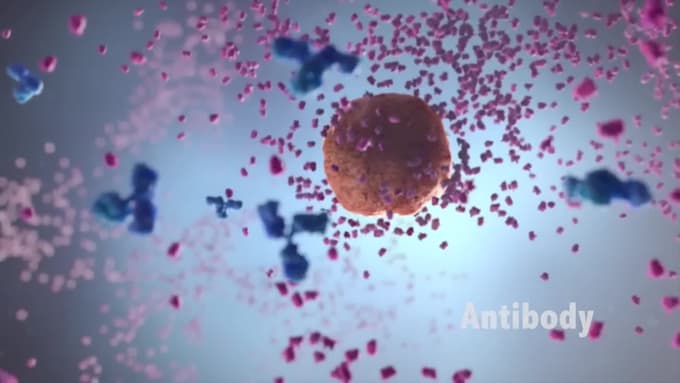 do 3d cellular pathways receptor binding kinetics molecular car t cell explainer