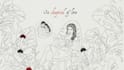 make a beautiful hand drawn lyric video