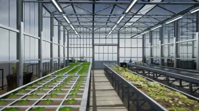 do 3d greenhouse design, terrace, garden, backyard with realistic rendering