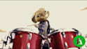 add logo and text in funny drummer rabbit short video