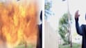 do professional vfx compositing, rotoscoping, screen replacement for your shots