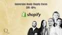 perform a professional shopify redesign and custom shopify store development