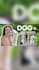 create ugc pet videos for dog products
