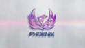 do stunning custom logo animation intro and or outro