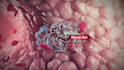 create 3d medical animation, anatomy, physiology and surgical video