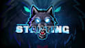 design animated custom twitch overlays,facecam and full stream