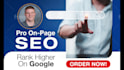 do website seo optimization with high quality white hat