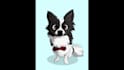 draw your pets into cartoon