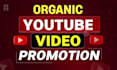 do organic youtube video promotion with channel growth through google ads