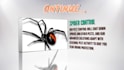 create pest control 2d animated promo video