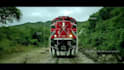 do professional video editing and motion graphics