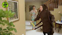 add your logo and branding to pest control video ads