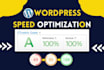 increase wordpress speed optimization, wordpress website speed optimize