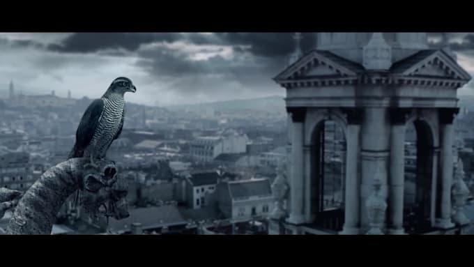 do professional color correction and color grading, studio colorist for 14 years