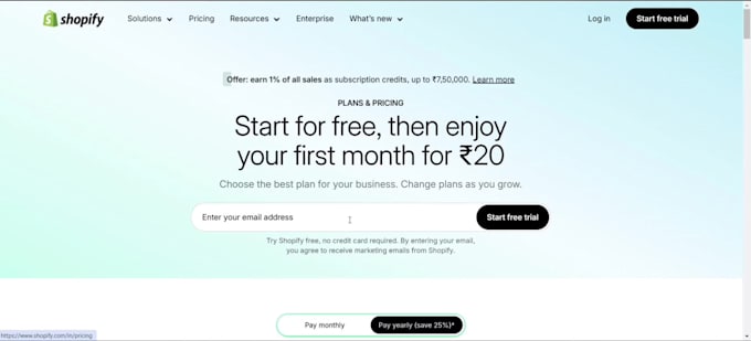 create best professional shopify website design and developments