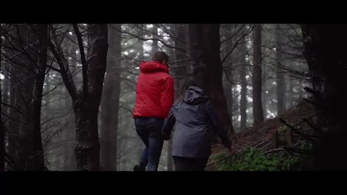 do cinematic wedding  highlight film editing