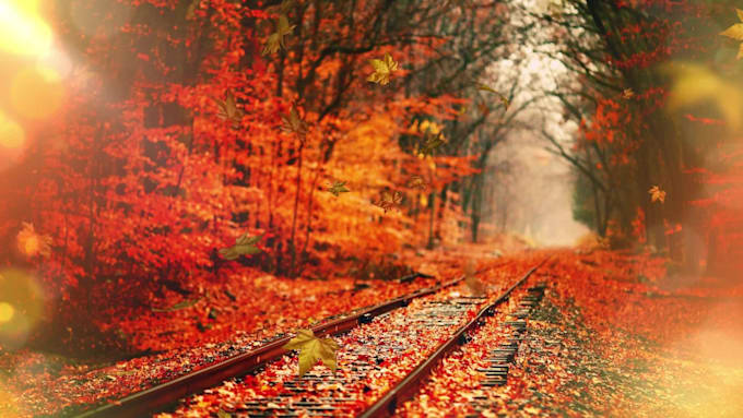 Top 10! I will make amazing video slideshow from your photos  for $5