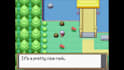 create a custom pokémon game or experience for you