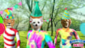 create funny happy birthday video with your face photo