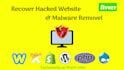 expert wordpress malware removal and security solution