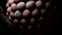 do dj visual vj loop concert 3d animations