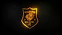 do 3d elegant luxury logo animation or intro animation