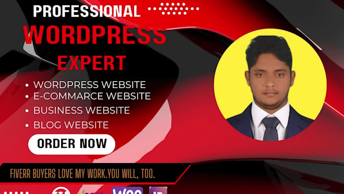 create and develop a professional wordpress website and blog