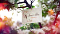 do wedding invitation save the date anniversary video