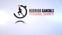 create your logo or graphic animation