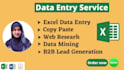 provide fastest excel data entry collection data typing internet research