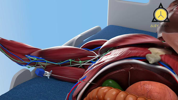 create 3d medical animation for you