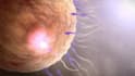create 3d medical animation video, human anatomy, procedure, and explainer