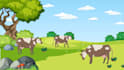 create a 2d animal animation