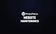 do wordpress website maintenance or ecommerce website maintenance
