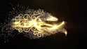do custom luxury logo animation intro