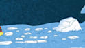 create impactful animation stories for public awareness