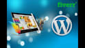 design wordpress website, personal portfolio website, business website