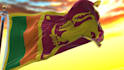 create a 3d waving flag animation from any image or logo