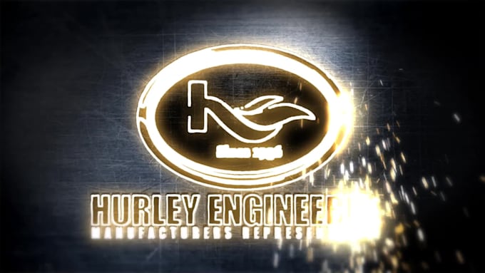 make a unique and custom logo intro