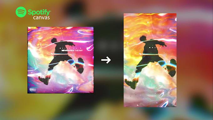 create your professional and unique spotify canvas