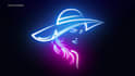 create custom neon line intro animation or neon portrait